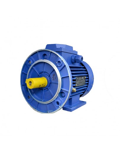 Motor electric AIS 90 0.75 KW 1000 MOGILEVSK