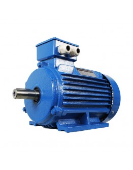 Motor electric 4A 315 55.0 KW 600