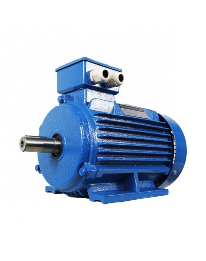 Motor electric 4A 315 55.0 KW 600