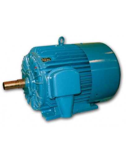 Motor electric AO3 250.0 KW 1000