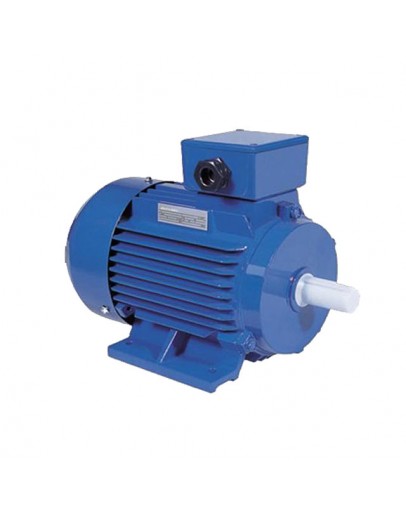 Motor electric Y2 18.5 KW 1500