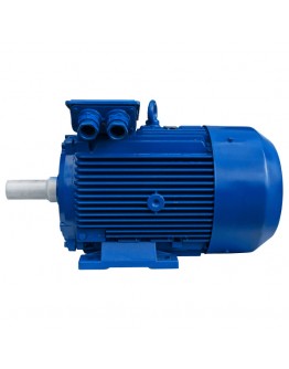 Motor electric MO 132.0 KW 1000