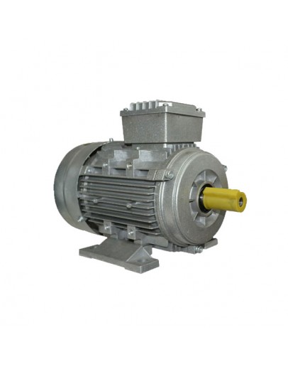 Motor electric MS 3.0 KW 1500