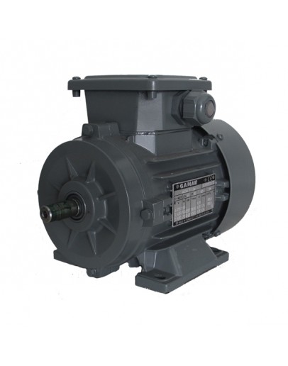 Motor electric AGM 0.37 KW 1500