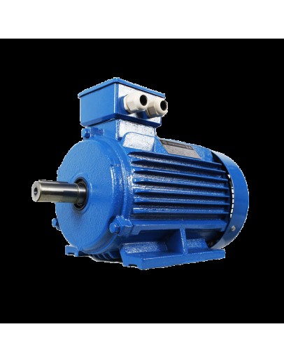 Motor electric AIR 90 3.0 KW 3000 MOGILEVSK