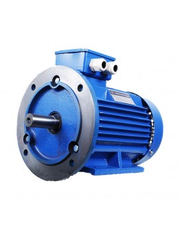 Motor electric AIR 100 3.0 KW 1500 MOGILEVSK