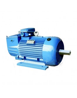 Motor electric MTF 30.0 KW 750