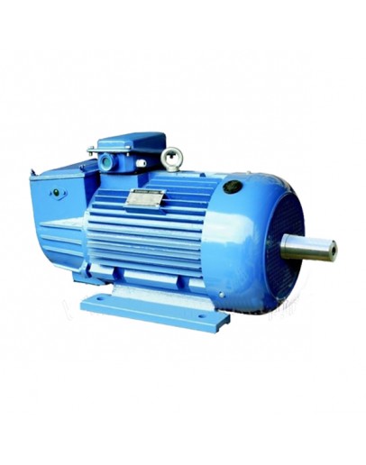 Motor electric MTF 30.0 KW 750
