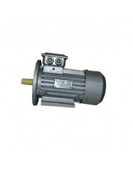 Motor electric AIM 0.75 KW 1000