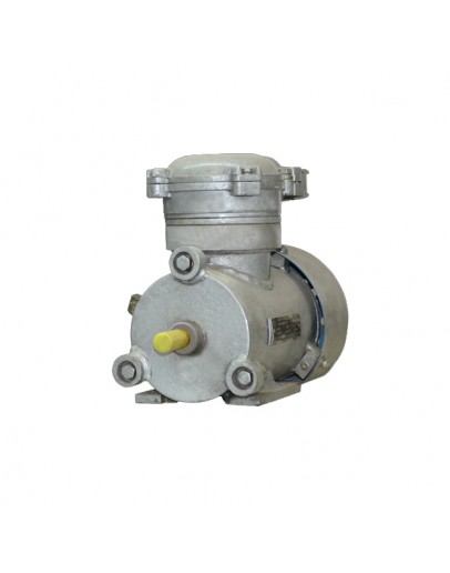 Motor electric AIM 0.75 KW 3000