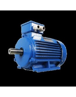Motor electric 4A 11.0 KW 3000