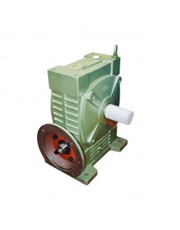 Reductor FCWDA-100 i=40 Elmos