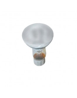 Bec incandescent 60W E27 2800K Horoz