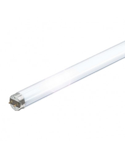 Lampa fluorescenta 36W G13 6200K Philips