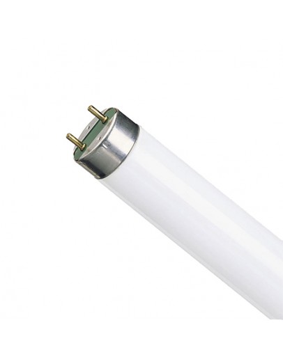 Lampa fluorescenta 36W G13 6400K Osram