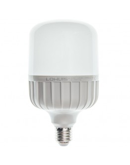 Bec LED 50W