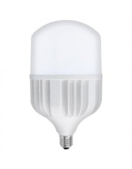 Bec LED TROCH-80 80W 6400K Horoz