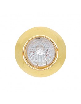 Spot luminos HL799 50W auriu Horoz