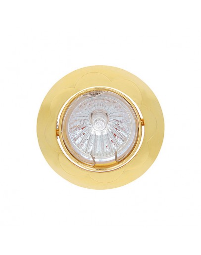 Spot luminos HL799 50W auriu Horoz