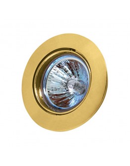 Spot luminos HL752 50W auriu Horoz