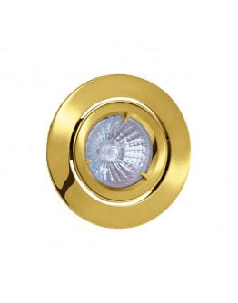 Spot luminos HL753 50W auriu Horoz