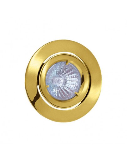 Spot luminos HL753 50W auriu Horoz