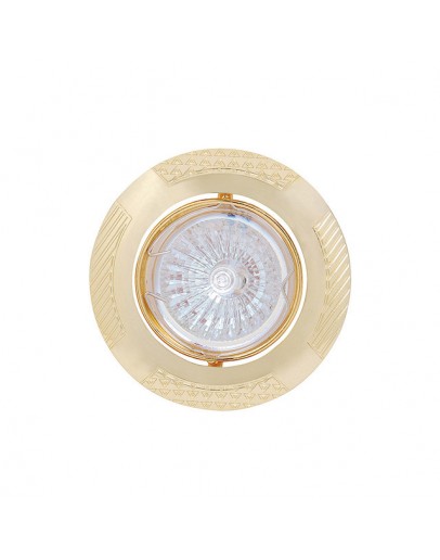 Spot luminos HL797 50W auriu Horoz