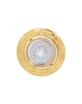 Spot luminos HL798 50W auriu Horoz