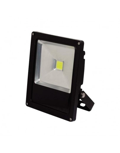 Proiector LED HL177L 30W Horoz