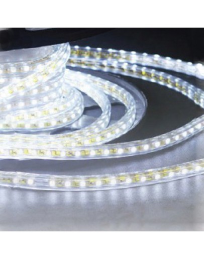 Bandă LED 10W/M 6400K IP54 Horoz