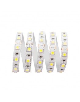 Bandă LED 14.4 W/M IP20