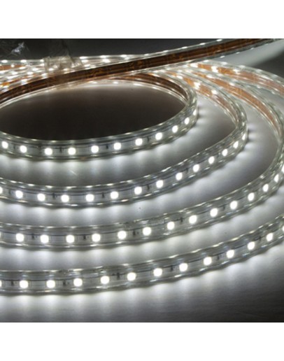 Bandă LED 14.4 W/M IP20