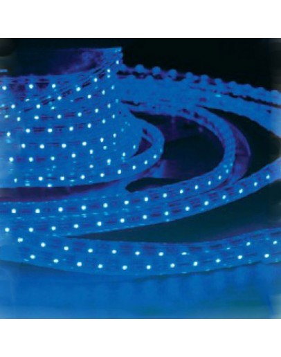 Bandă LED 10W/M 7500K IP65 Horoz