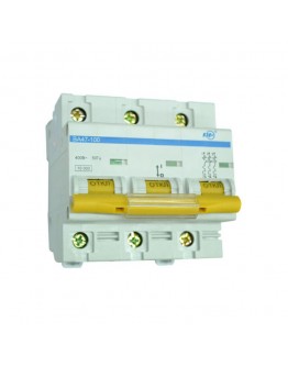 Intrerupator automat VA47-100 100A IEK