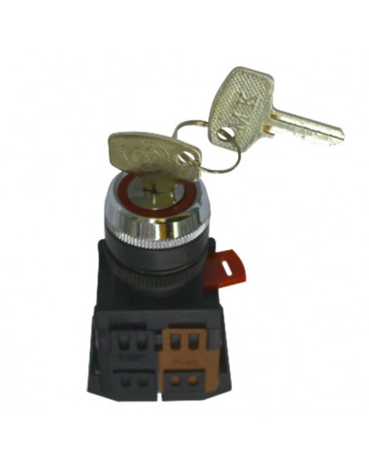 Intrerupător cu cheie AKS-22 10 A