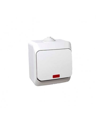 Intrerupator cu indicator exterior 250V Schneider