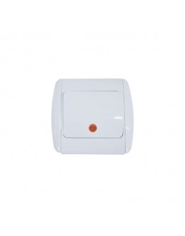 Intrerupator cu indicator interior 250V Elmos