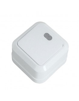 Intrerupator cu indicator exterior 250V Elmos