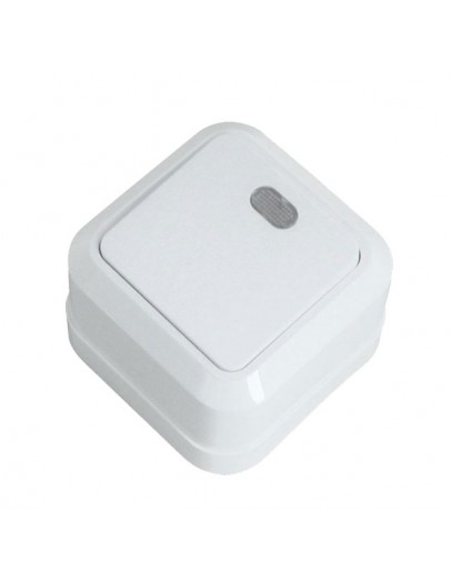 Intrerupator cu indicator exterior 250V Elmos